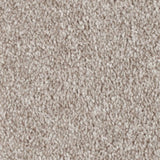 Mohawk True Melody Carpet