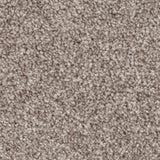 Mohawk True Melody Carpet