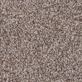 Mohawk True Melody Carpet
