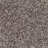 Mohawk True Melody Carpet