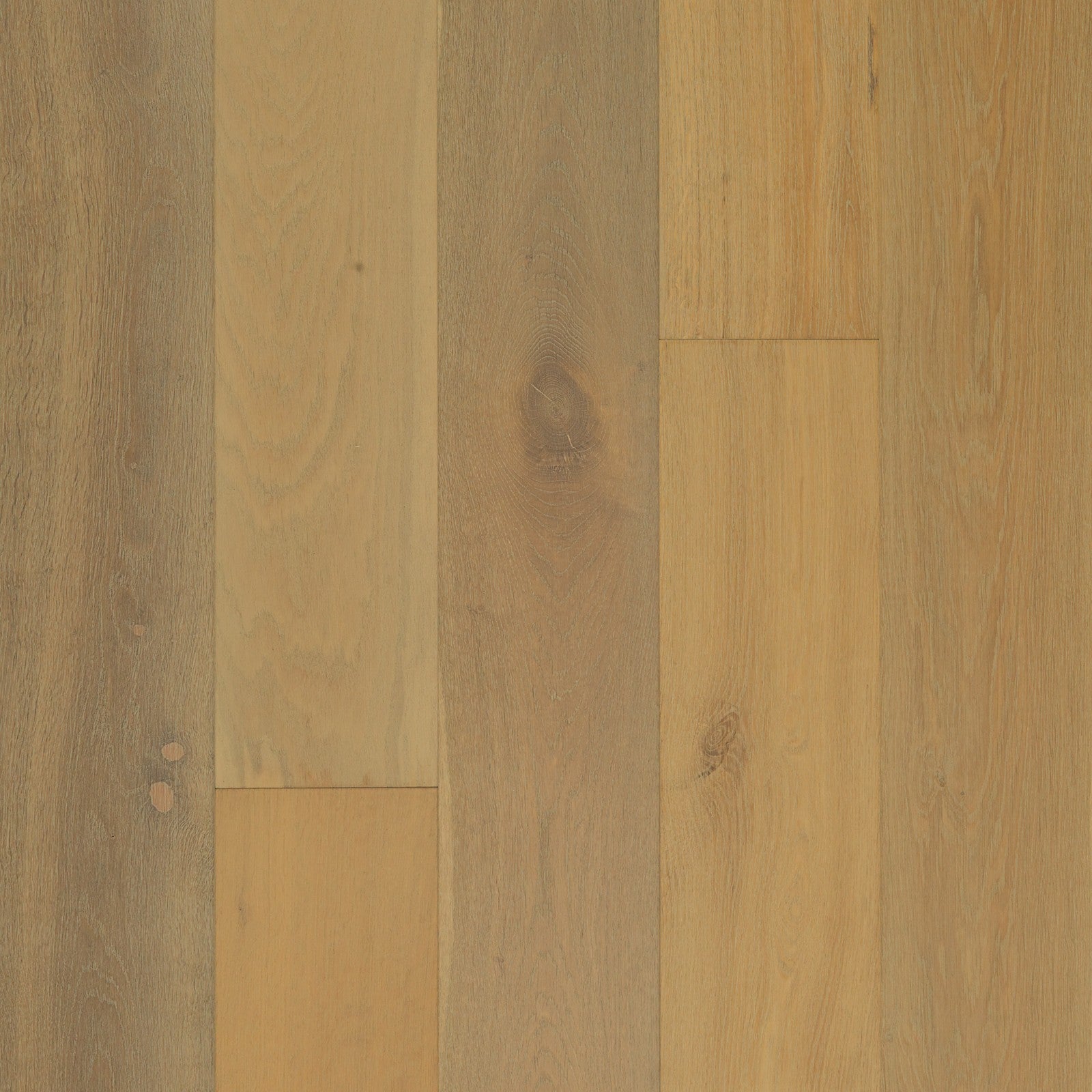 Mohawk Coral Shores in Tamarind Oak, Engineered Wood product detail