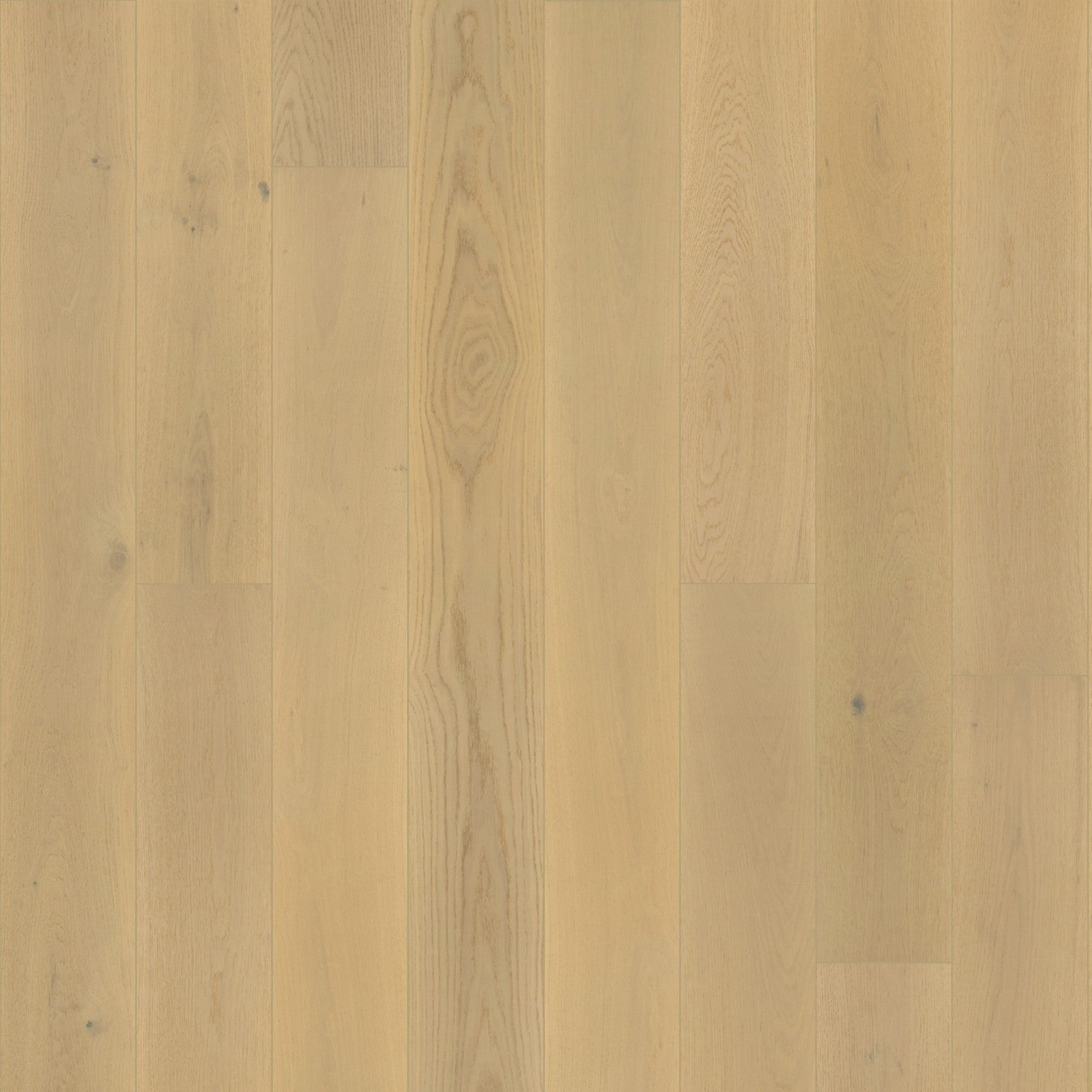 Mohawk Harbor Estates in Sand Pearl Oak, Engineered Wood product detail