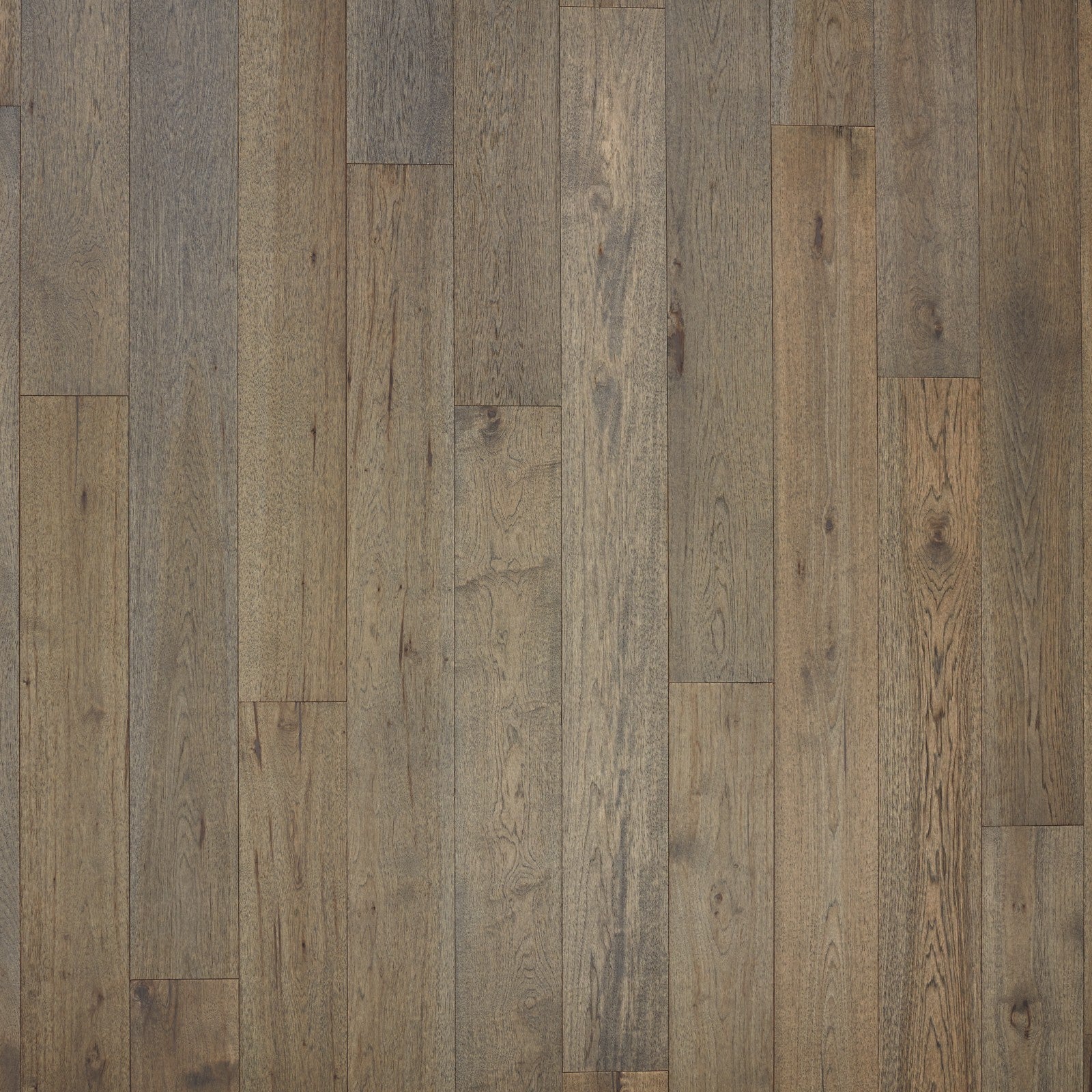 Mohawk Cascade Hills in Elkhound Hickory, Engineered Wood product detail