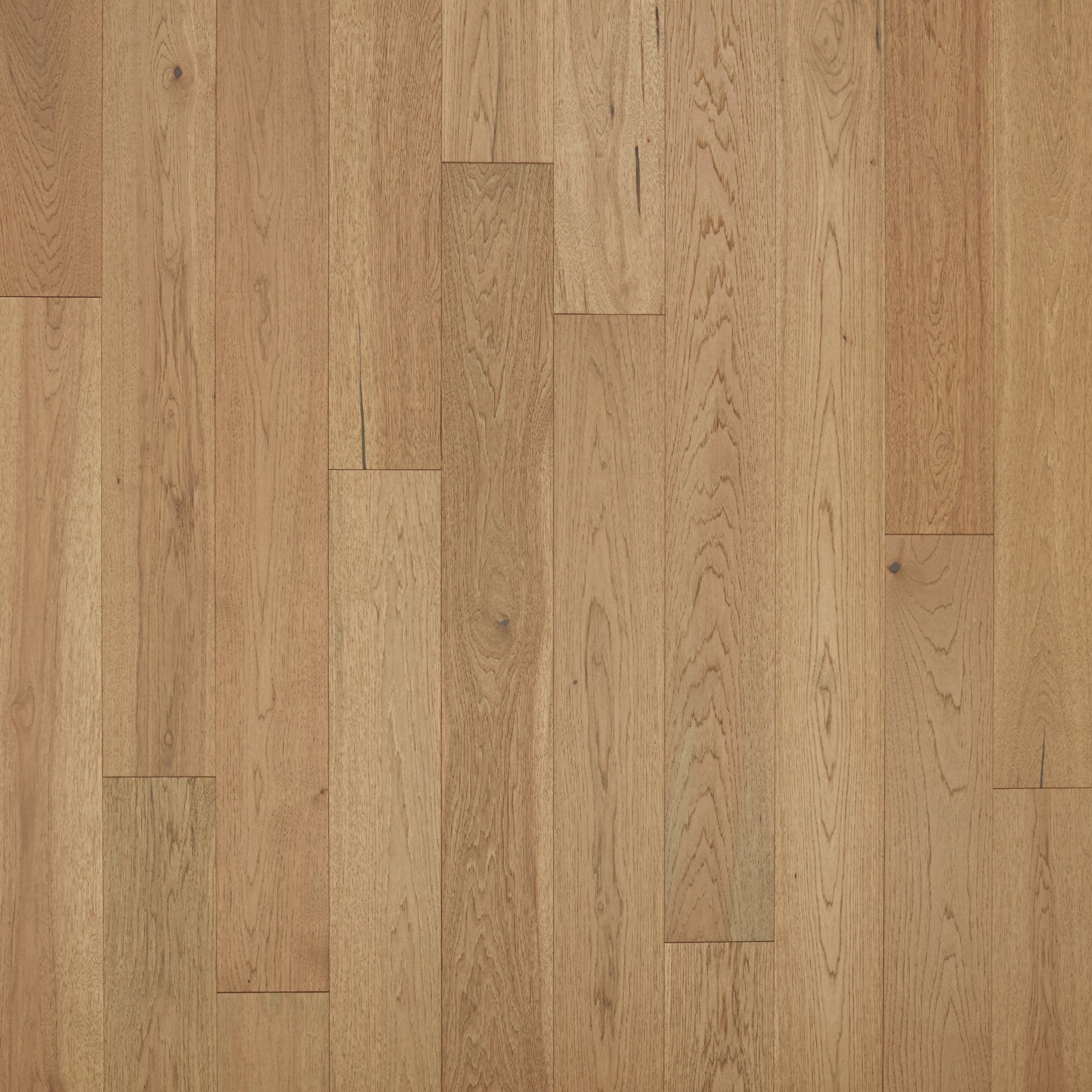 Mohawk Cascade Hills in Cinnabark Hickory, Engineered Wood product detail