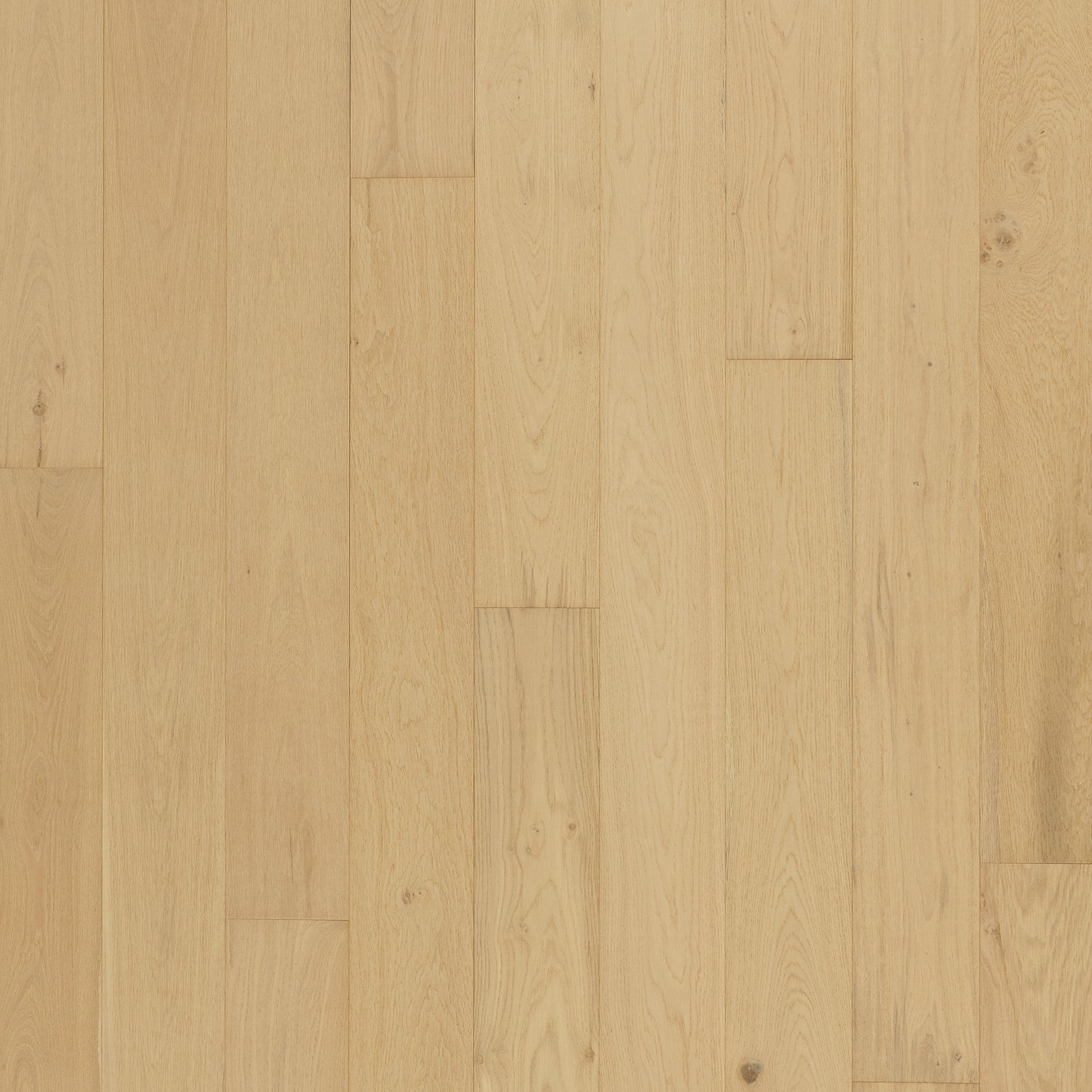 Mohawk Islandair in Sand Dollar Oak, Engineered Wood product detail