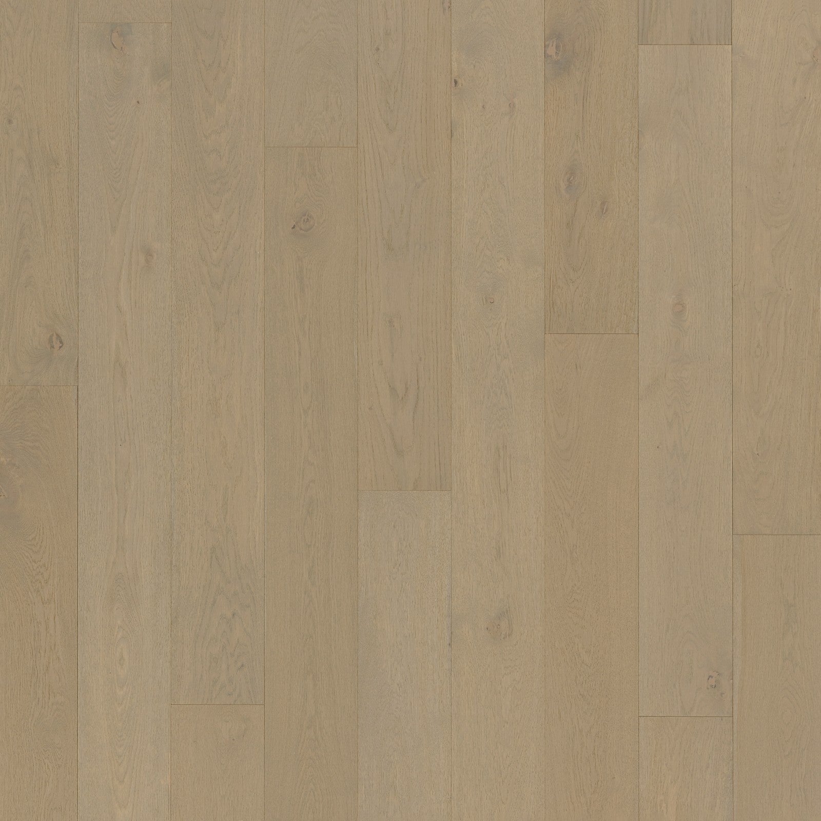 Mohawk Islandair in Gravel Shore Oak, Engineered Wood product detail