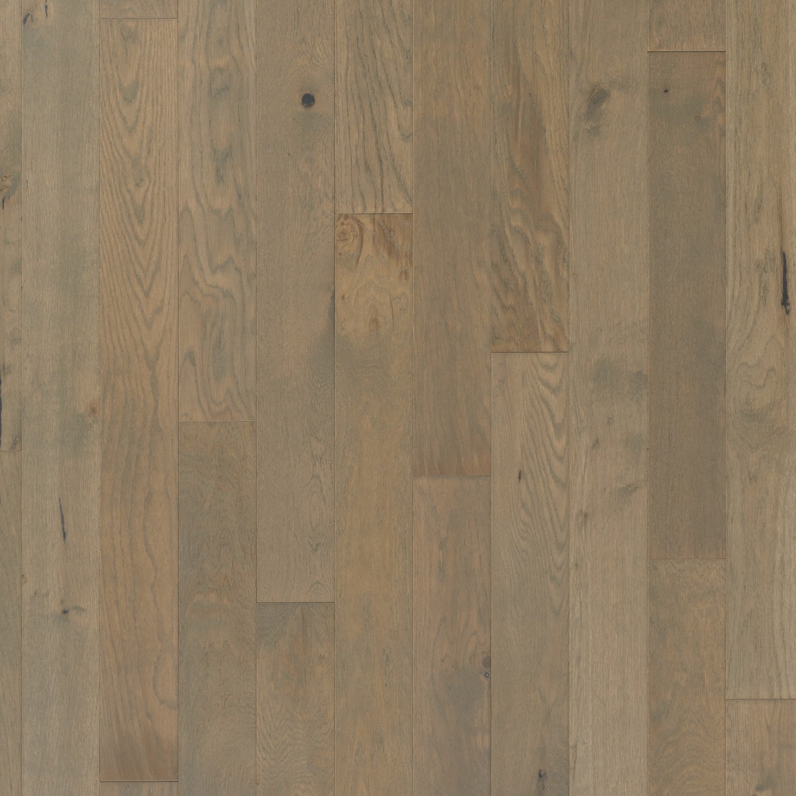 Mohawk Camden Isle in Gray Cashmere, Engineered Wood product detail