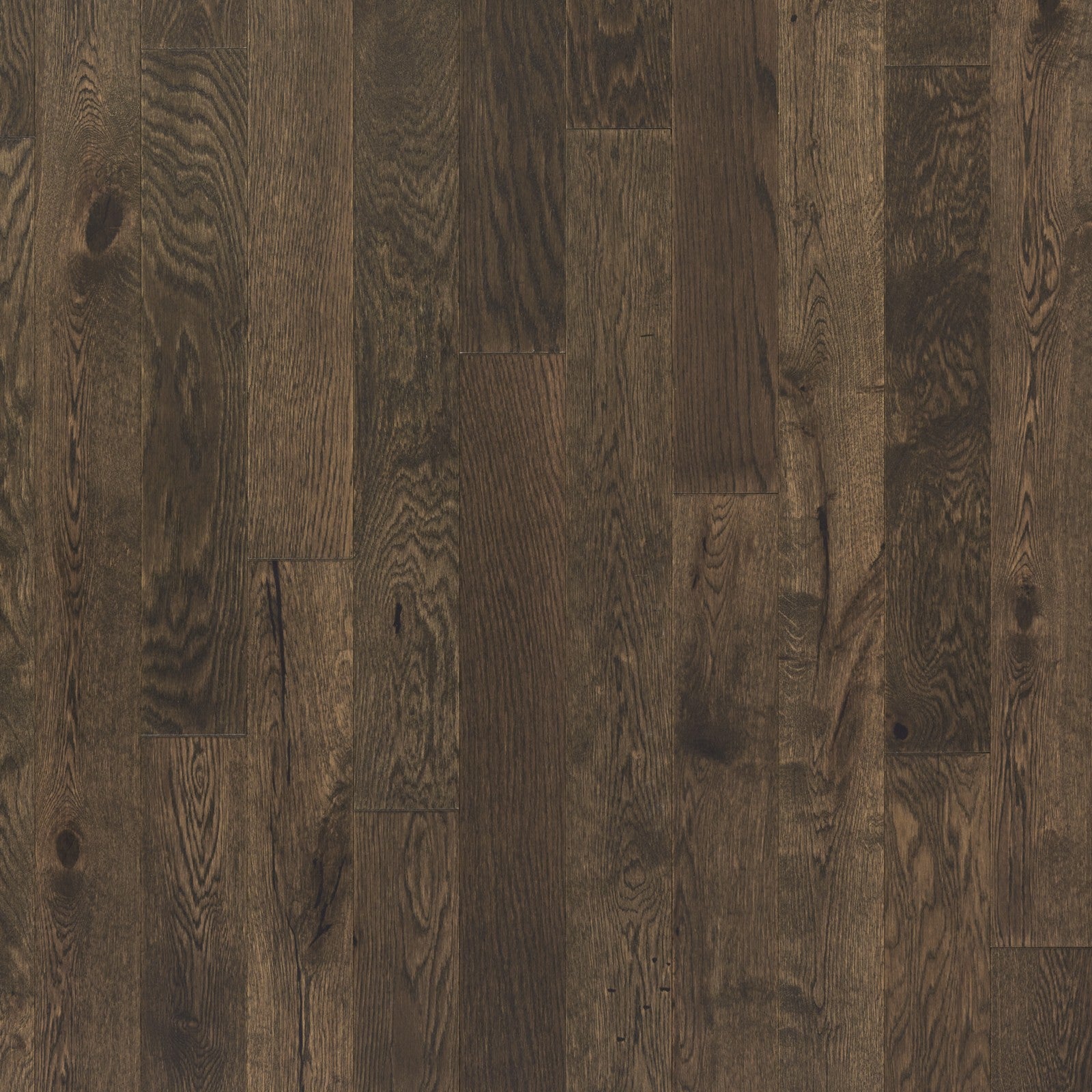 Mohawk Camden Isle in Chocolate Truffle, Engineered Wood product detail