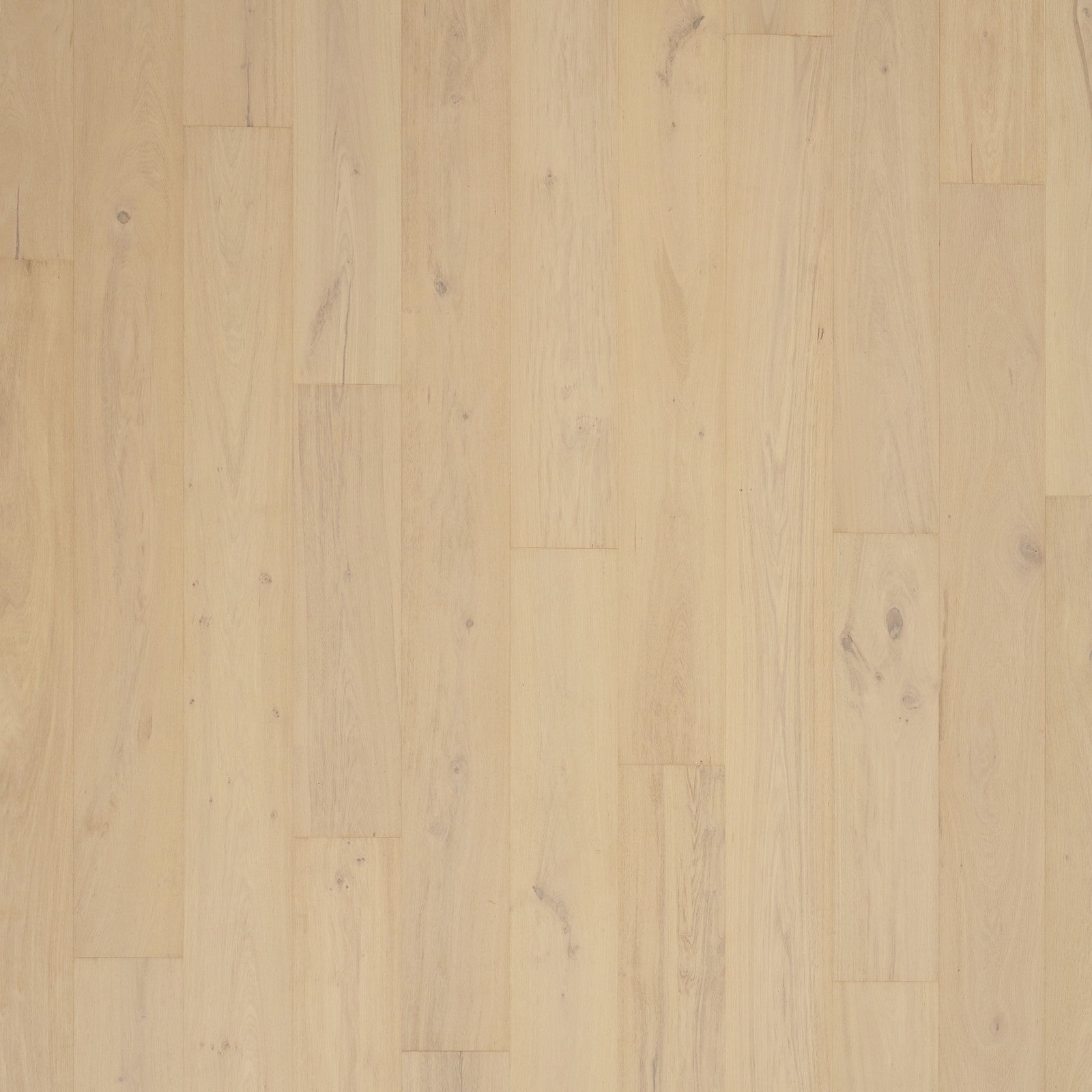 Mohawk Madera Trace in Natural Stone Oak, Engineered Wood product detail