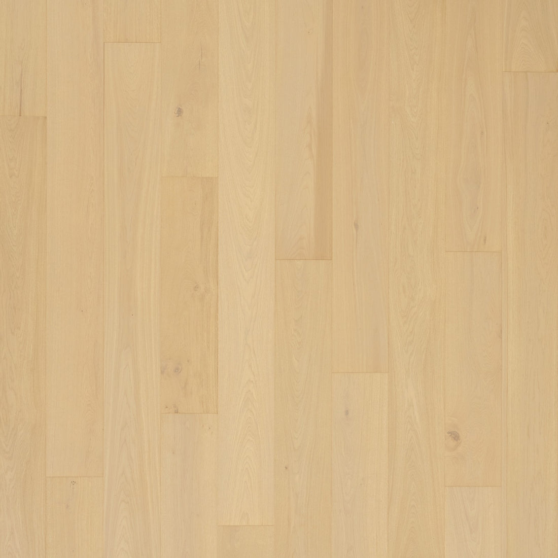 Mohawk Madera Trace Engineered Hardwood