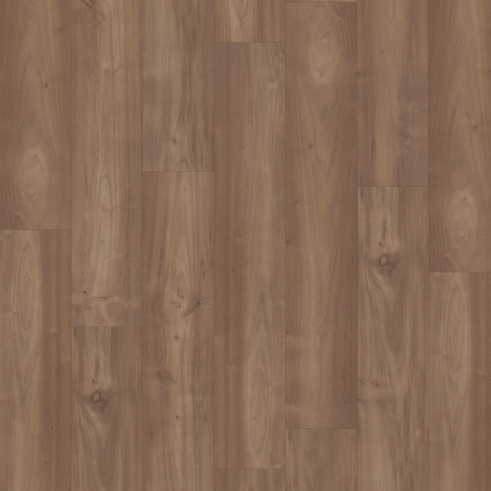 Mohawk Charlotte Woods in Coconut Acacia, Laminated Wood product detail