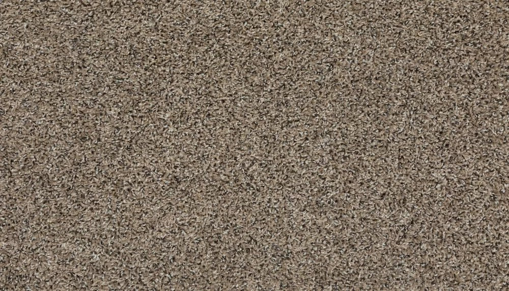 Mohawk Roll With It Carpet
