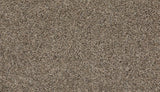 Mohawk Roll With It Carpet