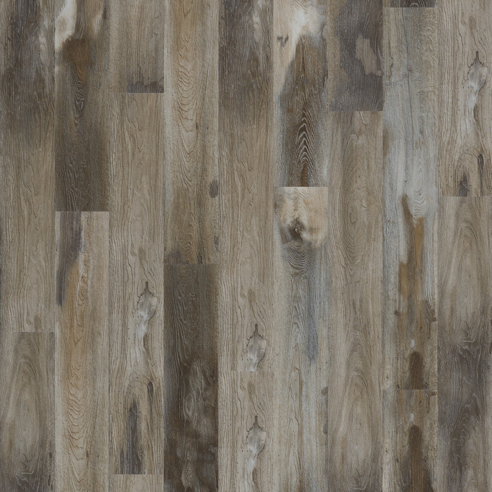 Mohawk Explorer's Cove in Raccoon, Resilient/Vinyl product detail