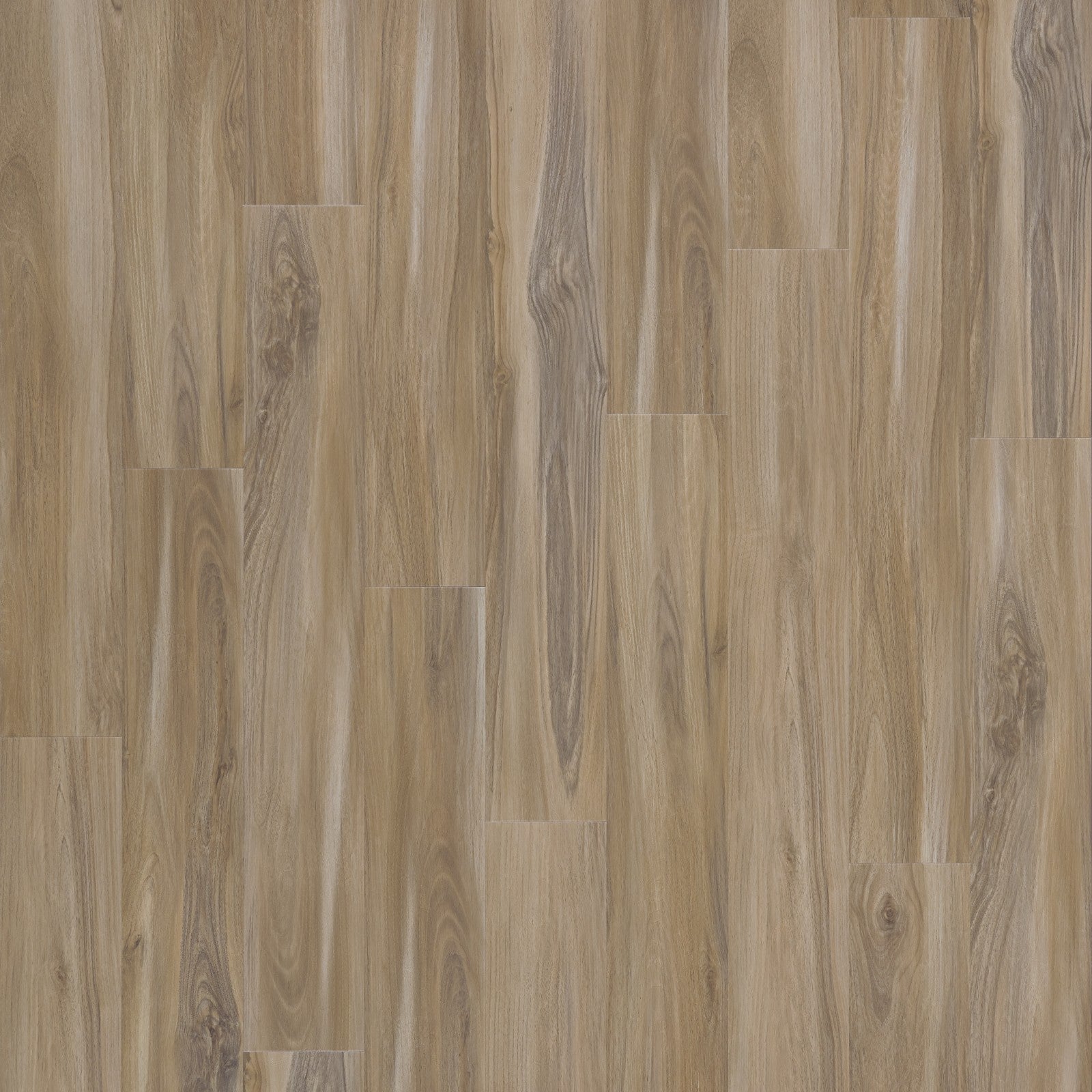 Mohawk Explorer's Cove in Sandy Valley, Resilient/Vinyl product detail