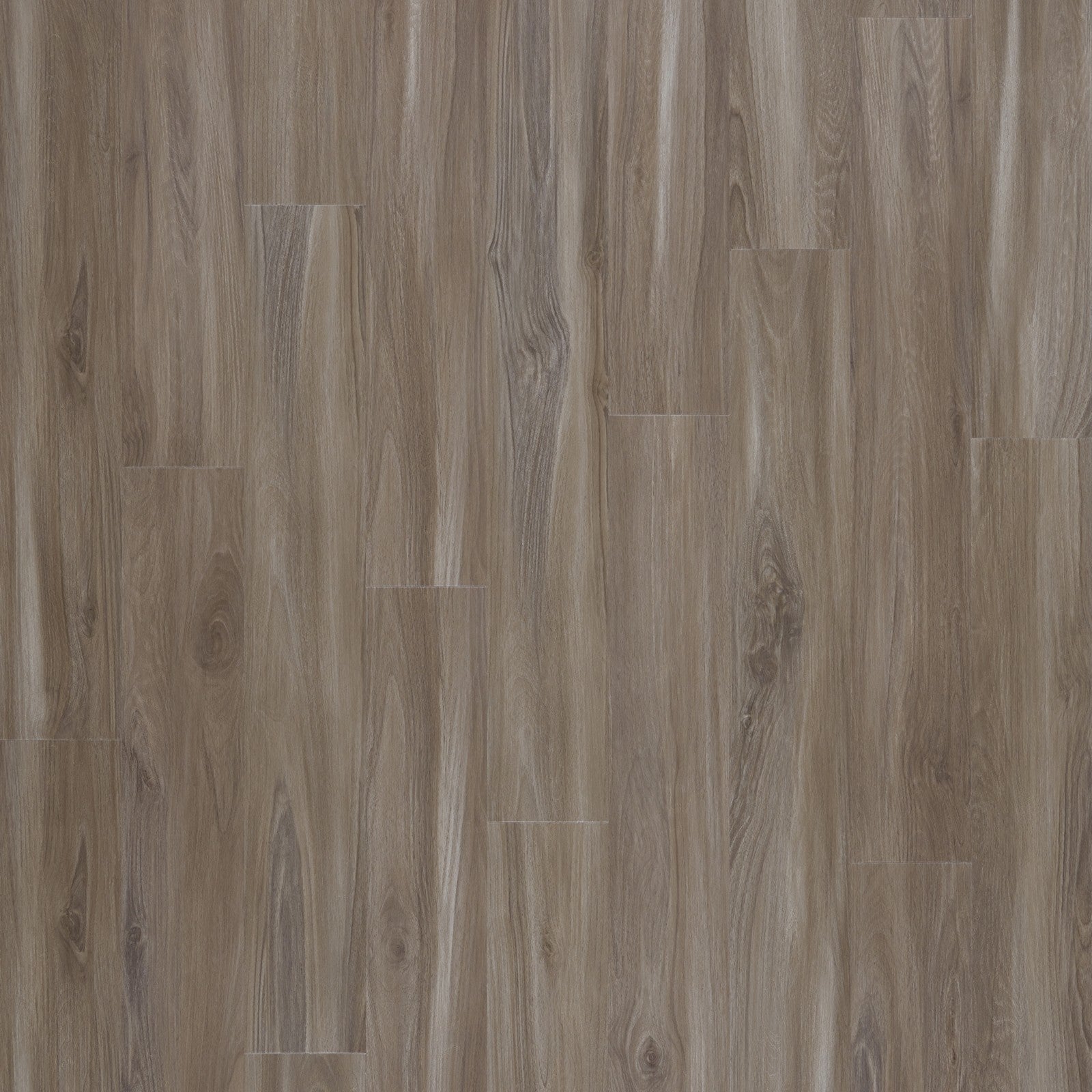 Mohawk Explorer's Cove in Dolphin, Resilient/Vinyl product detail