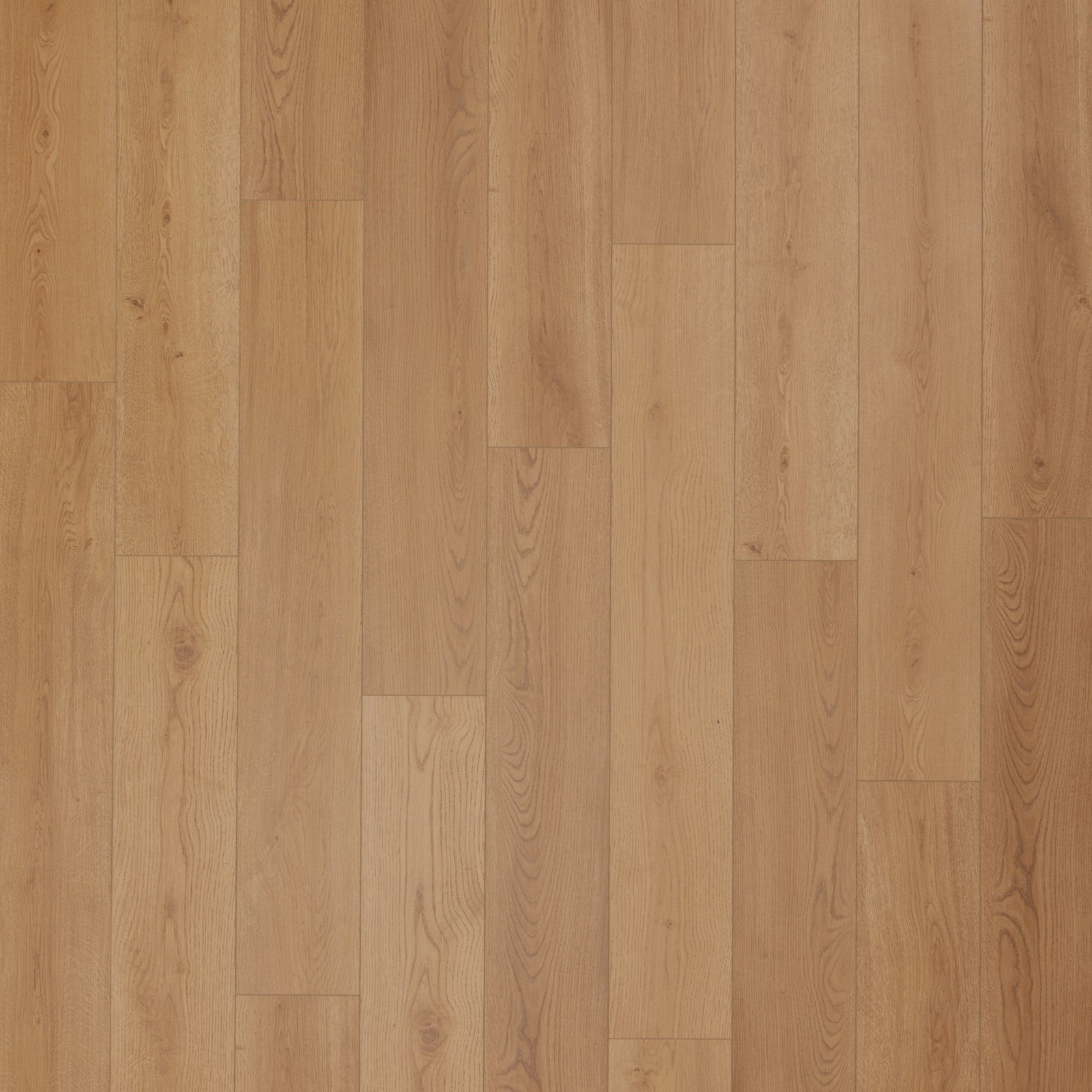 Mohawk Timber Brook II in Benton, Resilient/Vinyl product detail