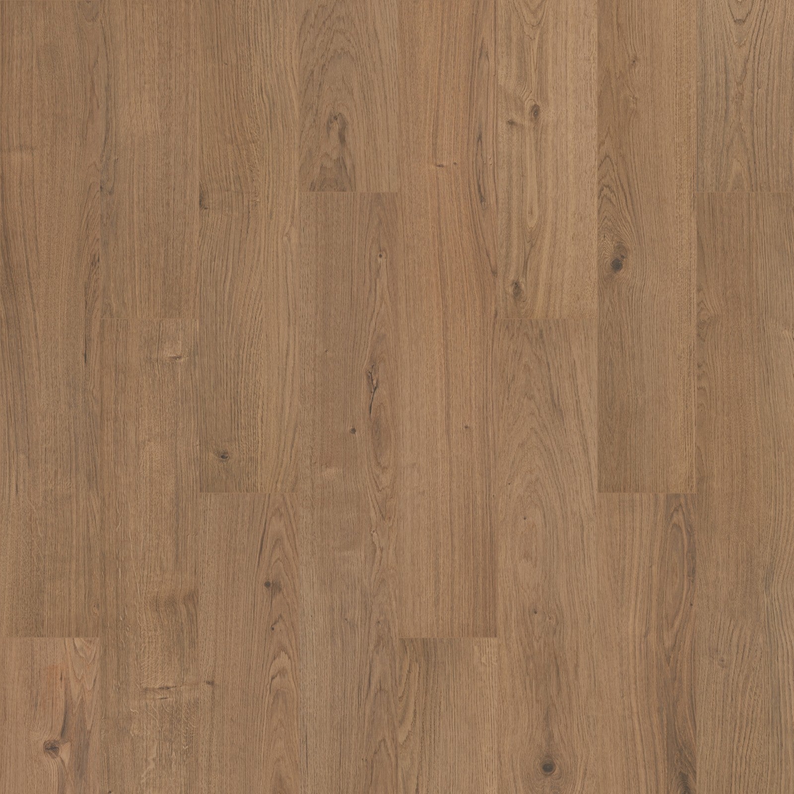 Mohawk Ashland Crest in Fern, Resilient/Vinyl product detail