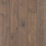 Mohawk Popular Commentary Laminate Flooring