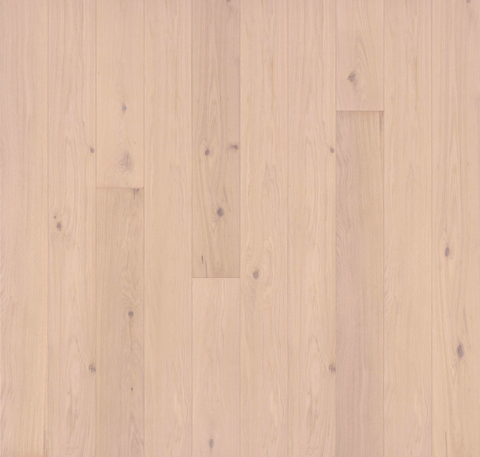 Close-up of Allora Aria European Oak engineered hardwood plank showing light golden tone and wire-brushed texture.
