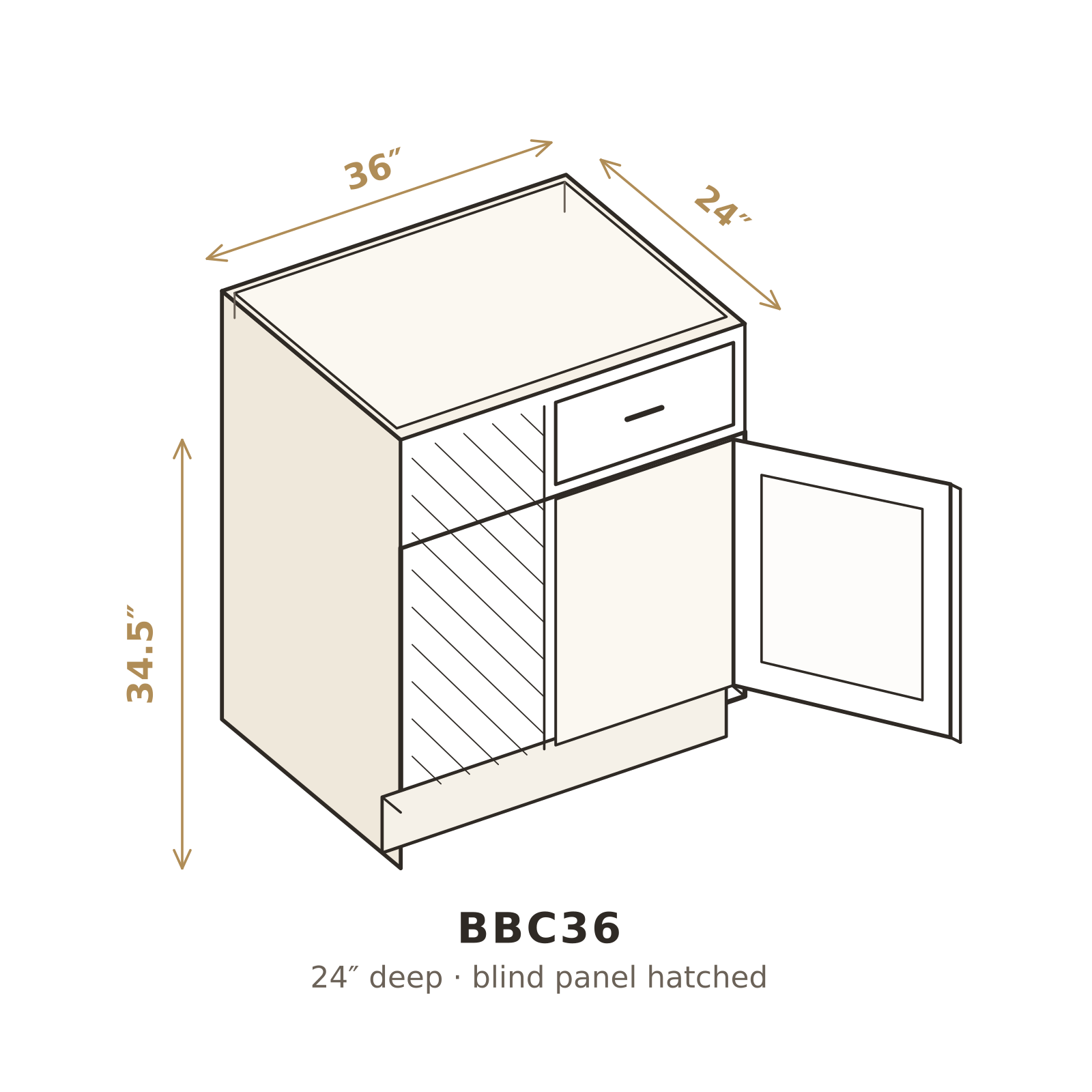 BBC36 3D sketch