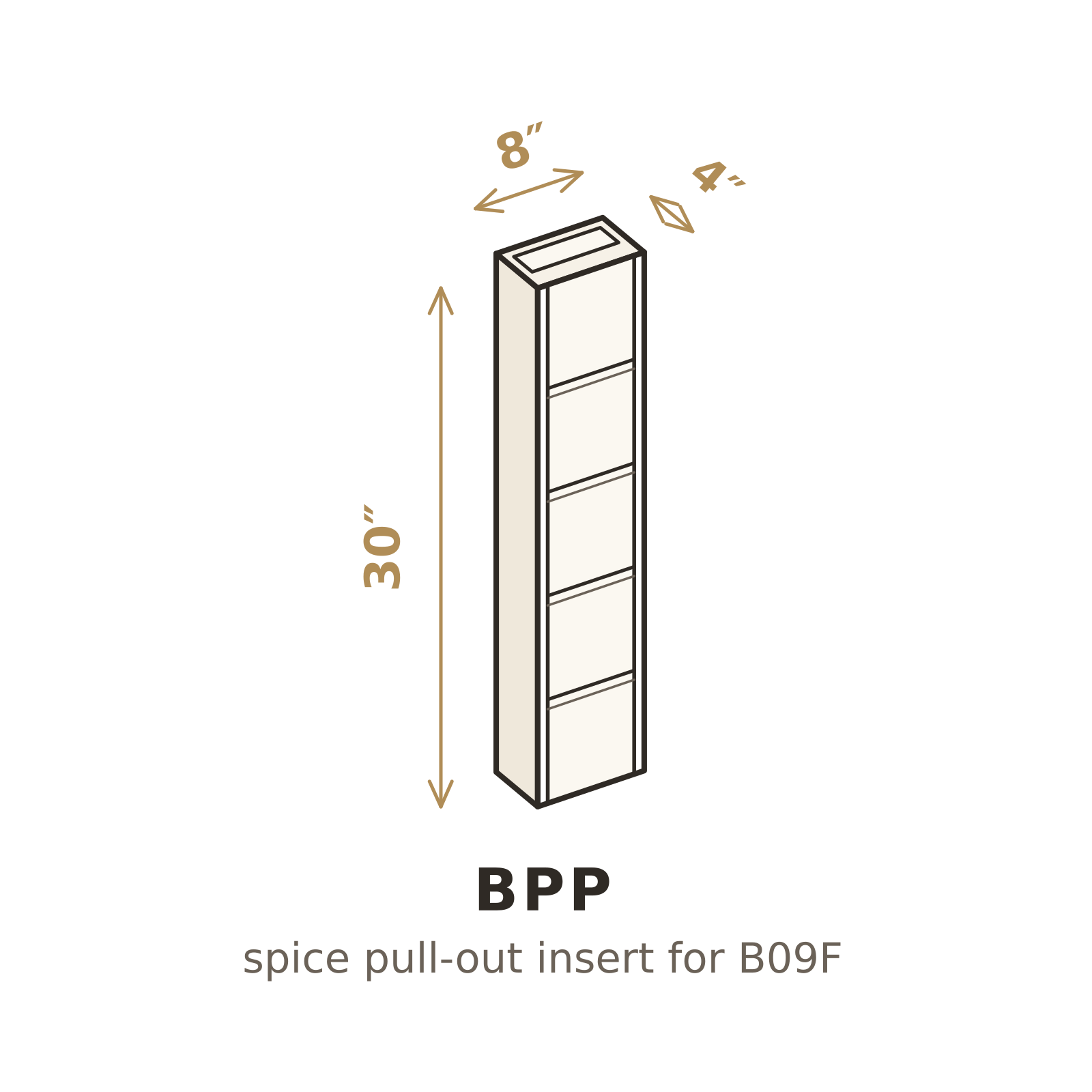 BPP 3D sketch