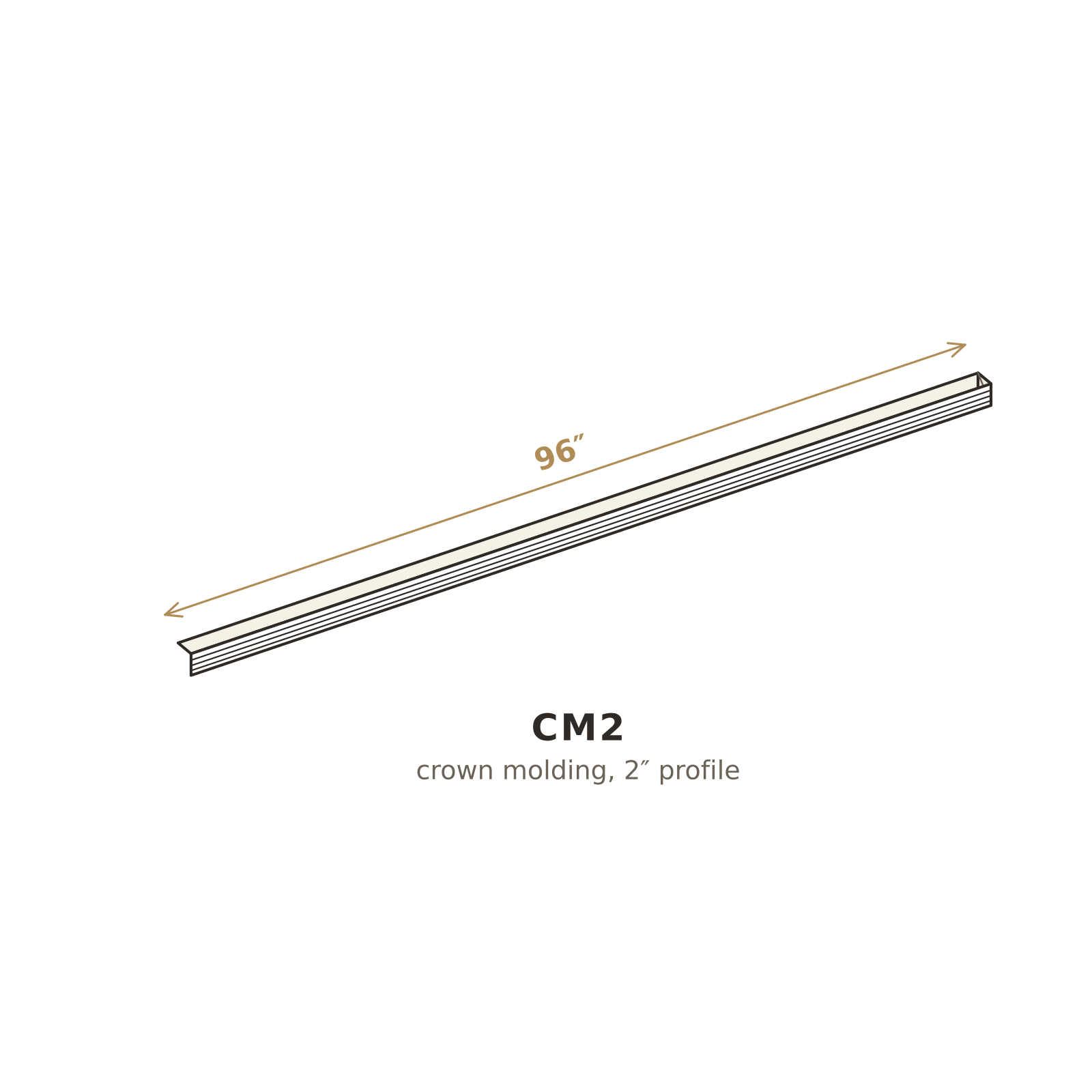 CM2 3D sketch