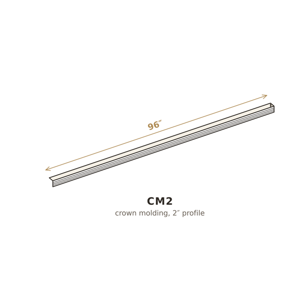 CM2 3D sketch