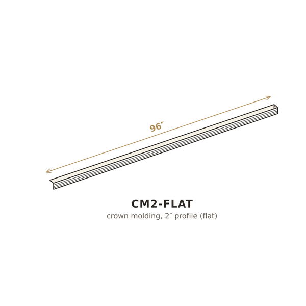 CM2-FLAT 3D sketch
