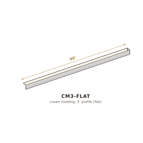 CM3-FLAT 3D sketch