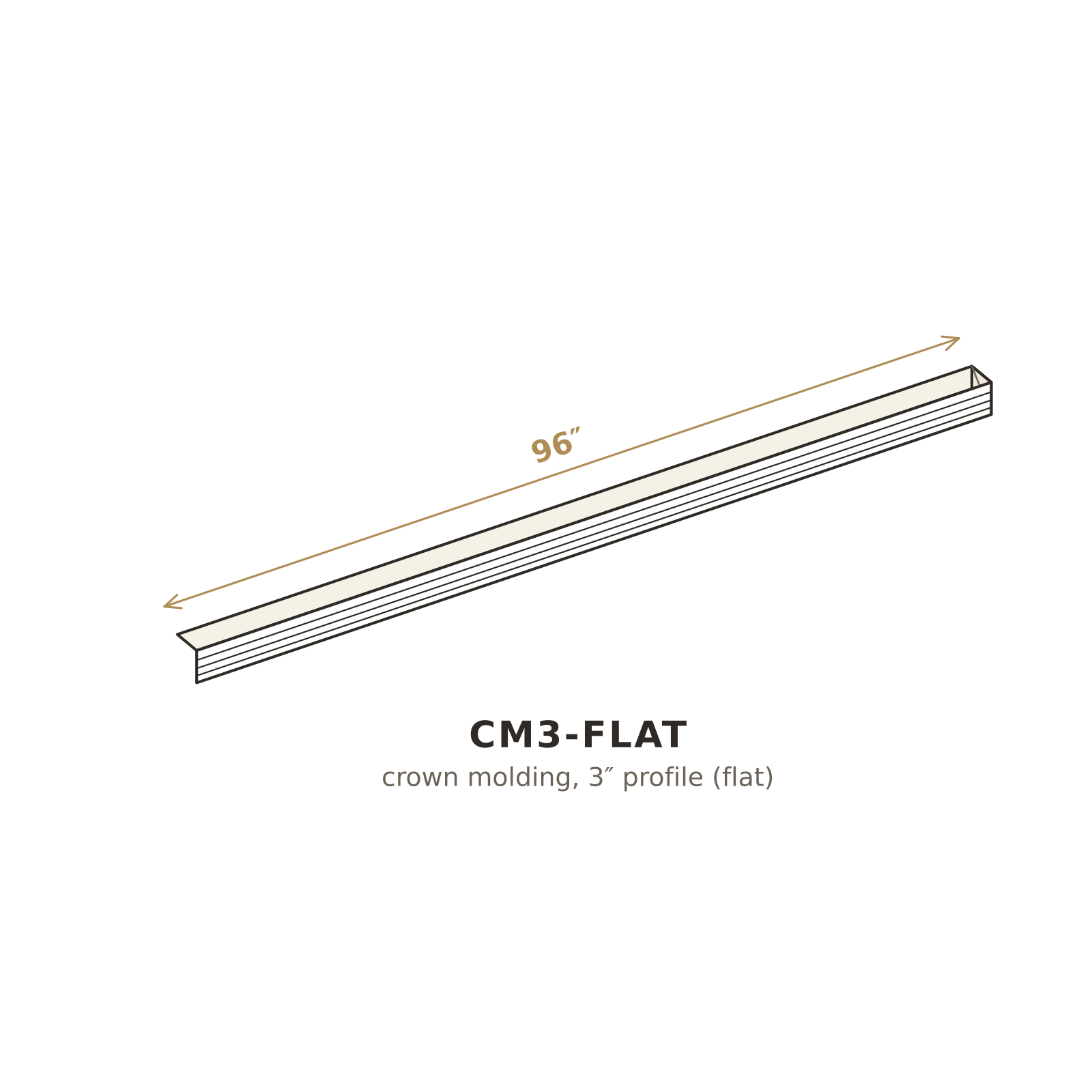 CM3-FLAT 3D sketch