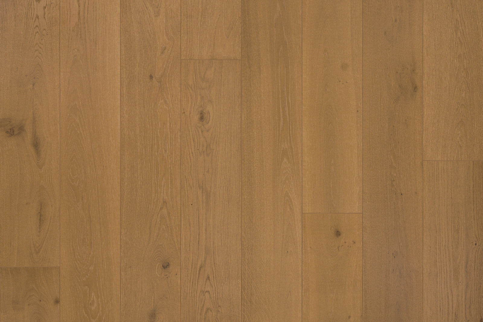 Garrison Beverly Hills Canon engineered hardwood plank, European Oak, light wire-brushed texture, micro-beveled edge, 9-1/2 in. wide