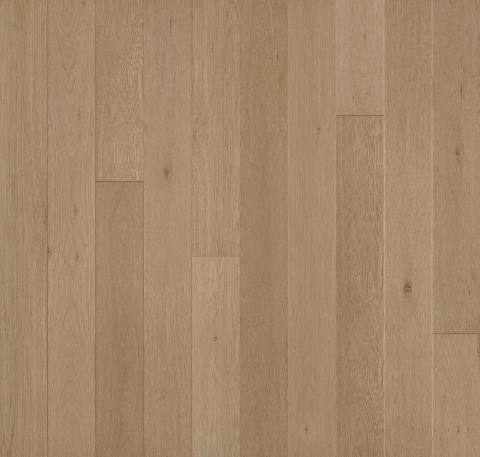 Close-up of Allora Doma engineered European Oak plank showing golden tone and wire-brushed texture.