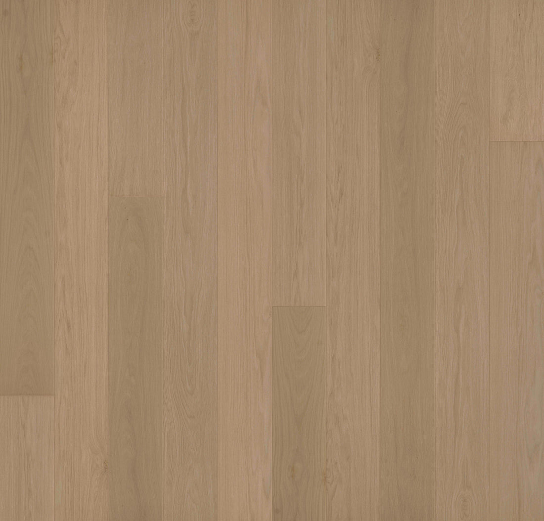 Allora Doma Select Engineered Hardwood Flooring