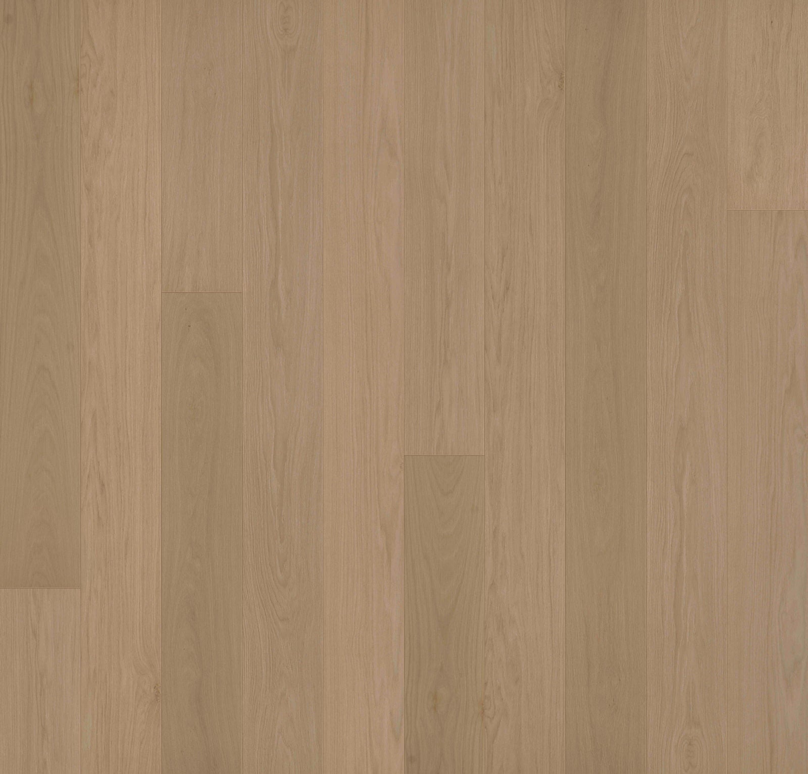 Close-up of Allora Doma Select European Oak engineered hardwood plank in golden medium tone.