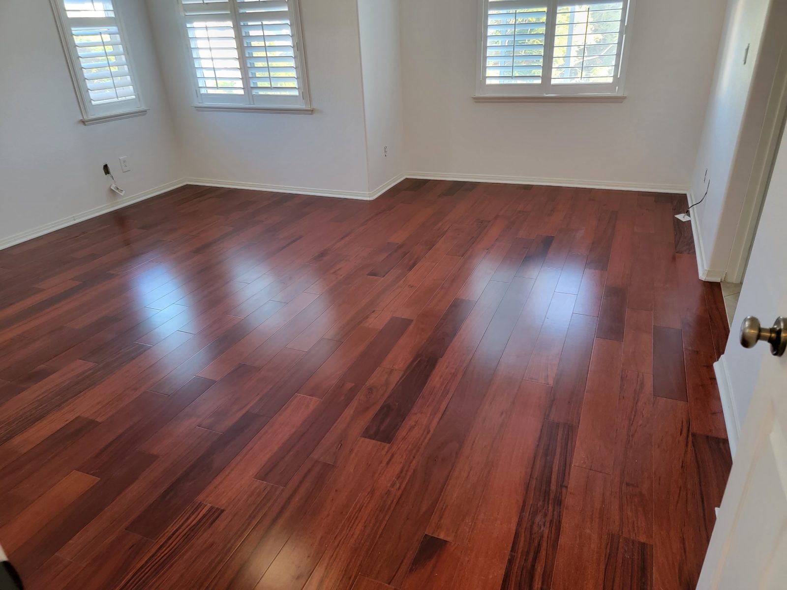 Patagonian Rosewood