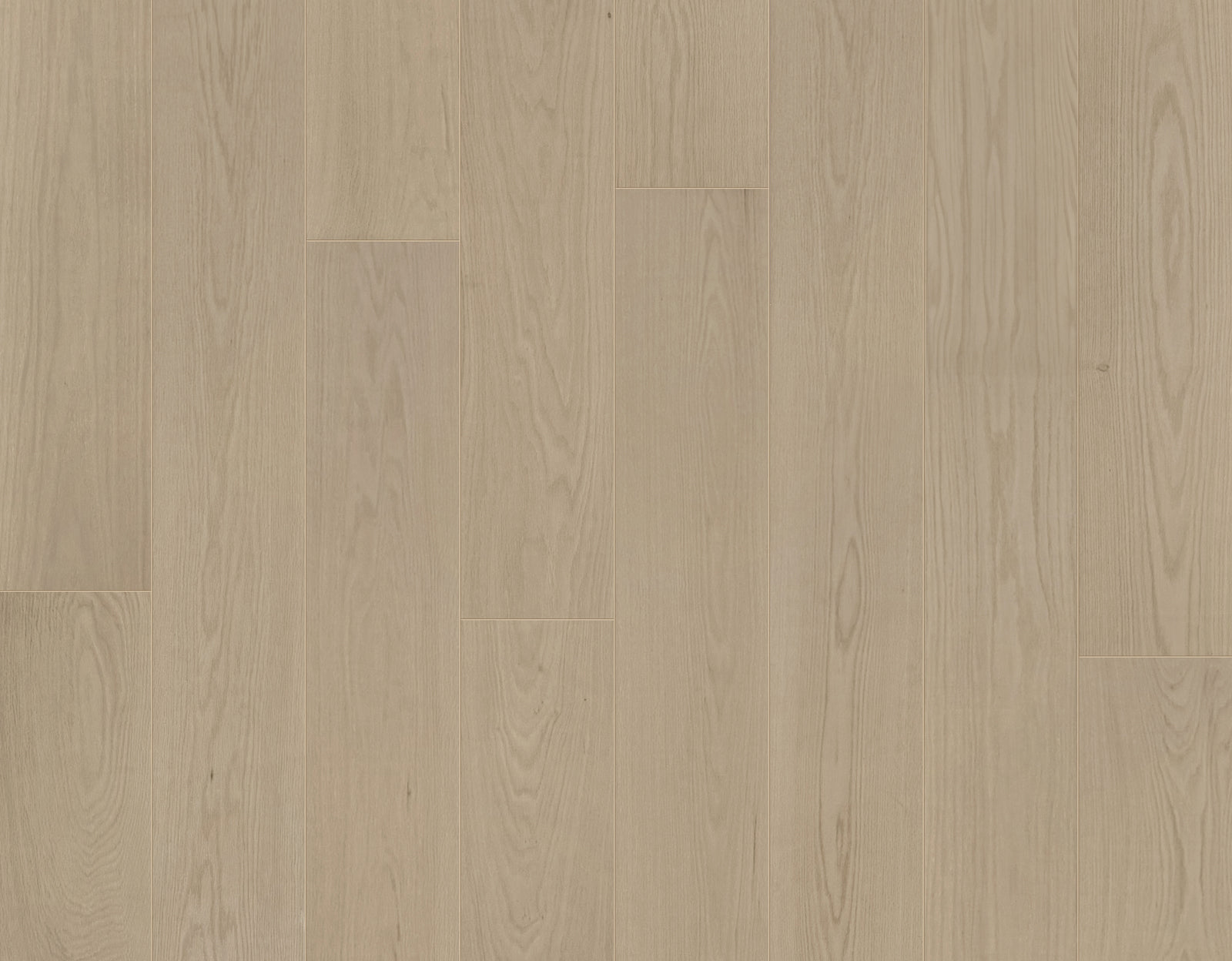 Garrison Gold Label Champagne engineered hardwood, 9-1/2-inch American Oak plank with light wire-brushed UV oil finish