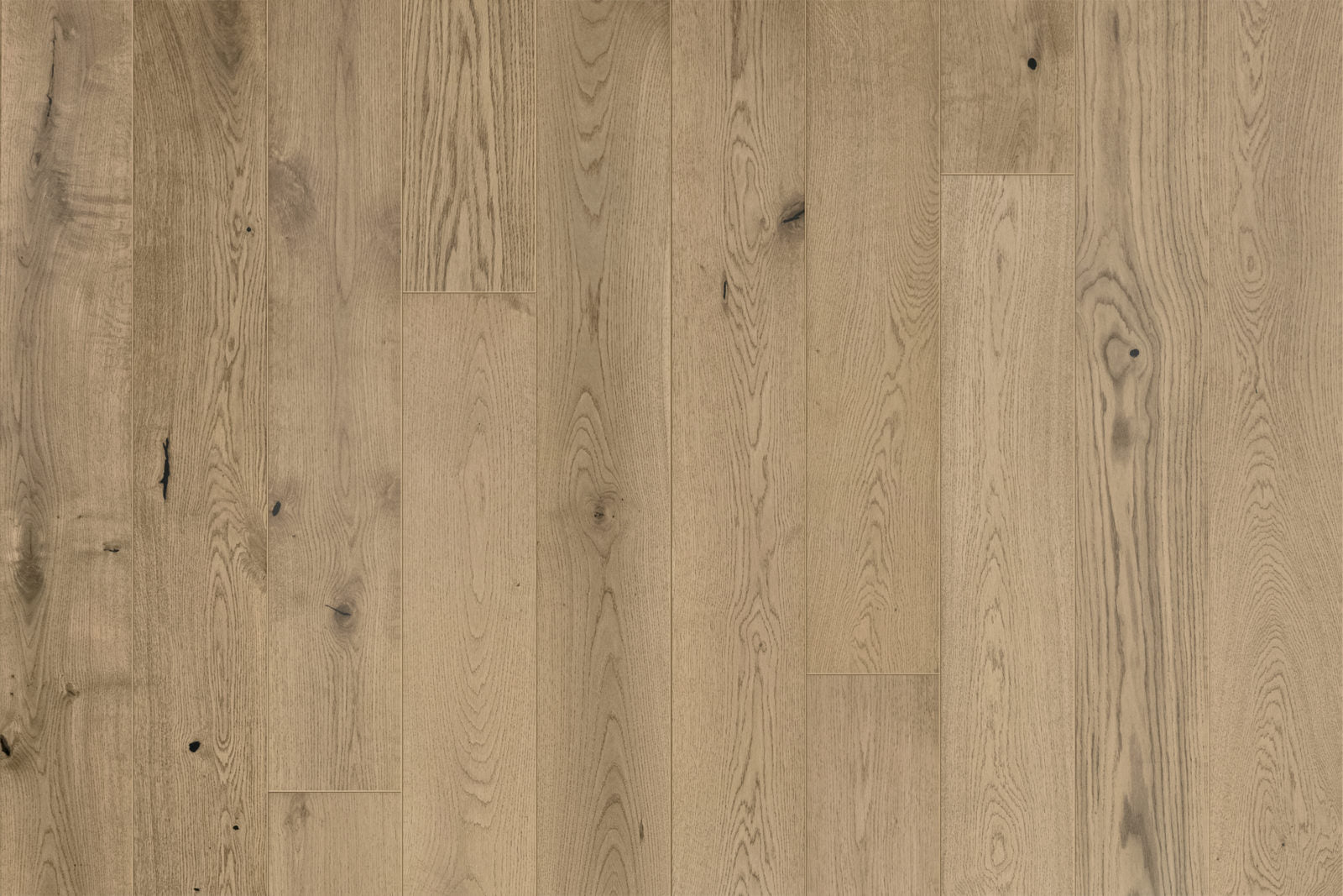 Garrison Legends Chantal 7-1/2-inch European Oak engineered hardwood in a smooth, UV oil finish