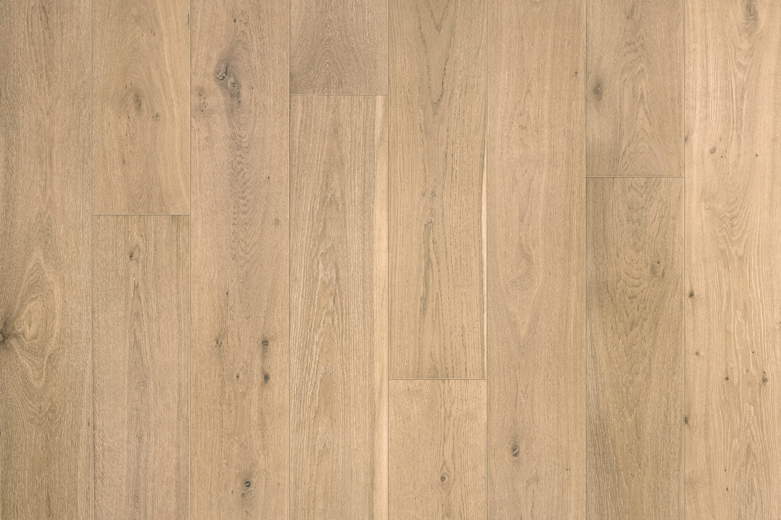 Garrison Legends Lodi engineered hardwood, 10-1/4-inch wire-brushed European Oak plank in soft golden beige