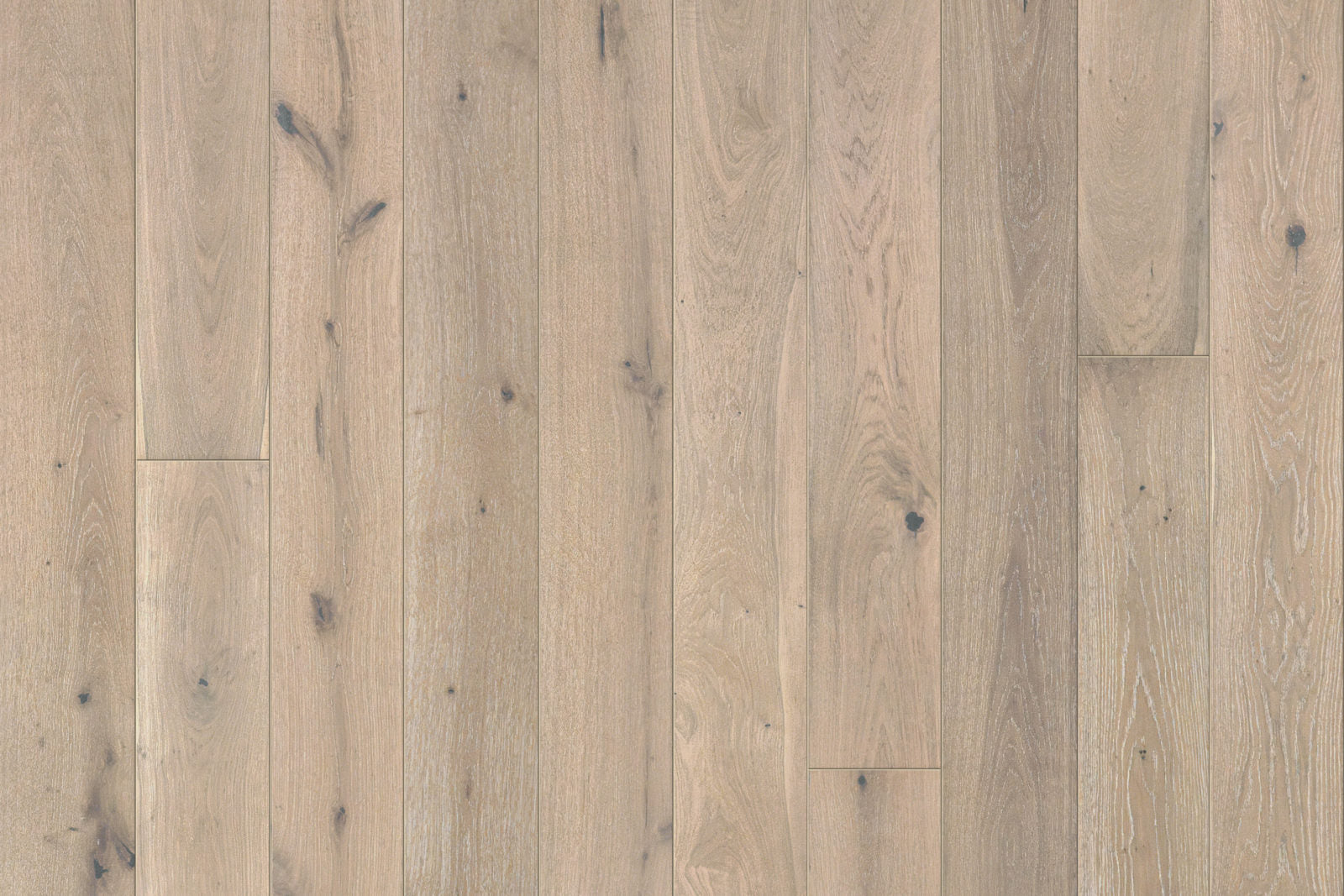 Garrison Legends Lugana 7-1/2-inch European Oak engineered hardwood plank with wire-brush texture and UV oil finish