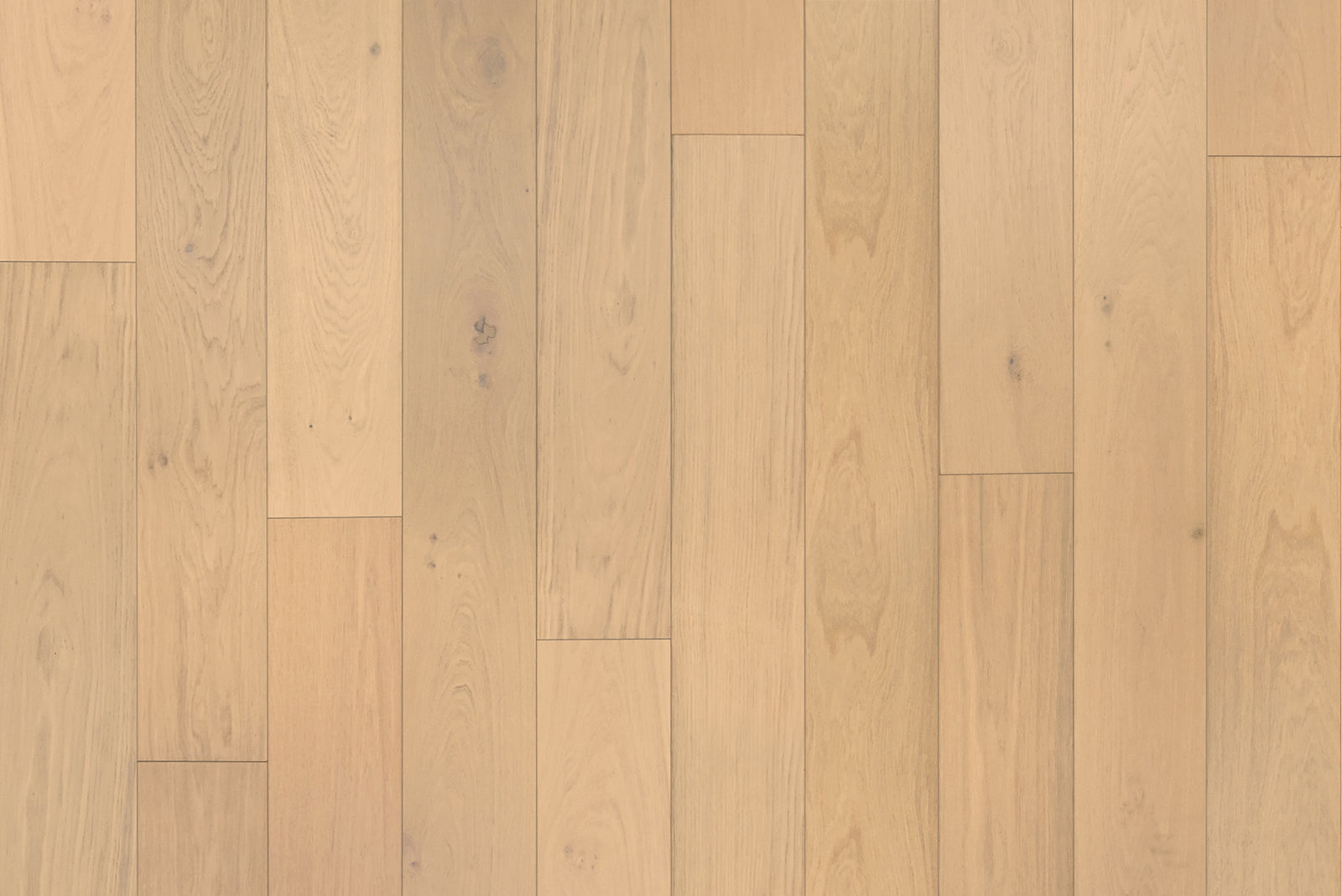 Garrison Newport Shell Beach 7-1/2 in. wire-brushed European Oak engineered hardwood plank with micro-beveled edges