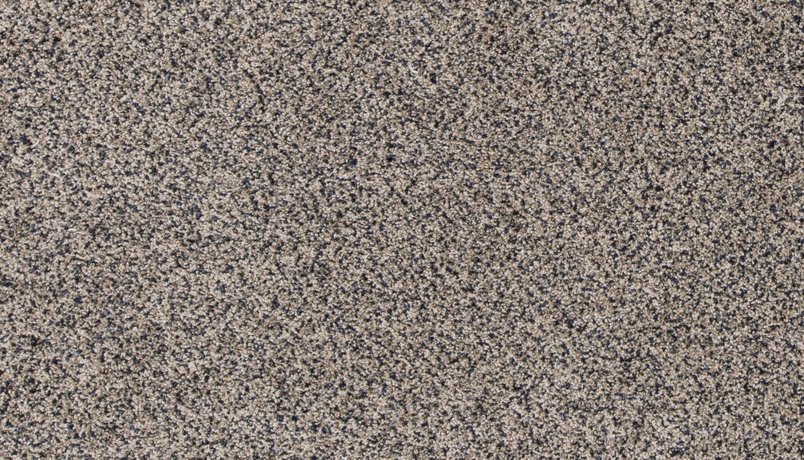 Mohawk Canine Comfort in Heron, Carpet product detail