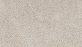 Mohawk Canine Comfort Carpet