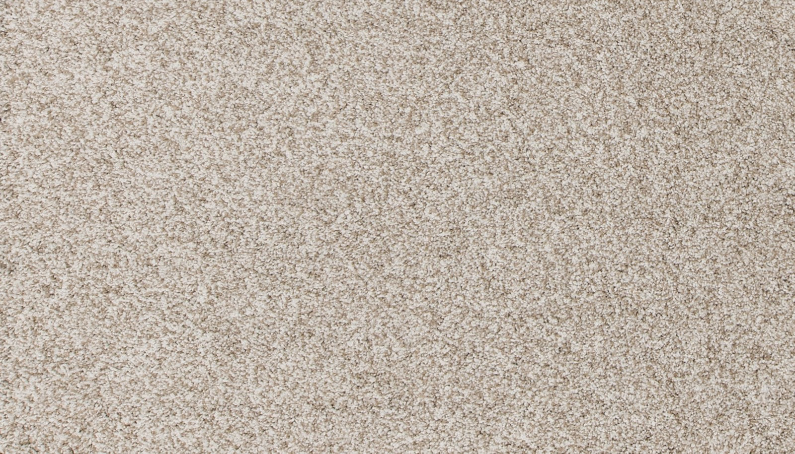 Mohawk Canine Comfort in Coconut, Carpet product detail