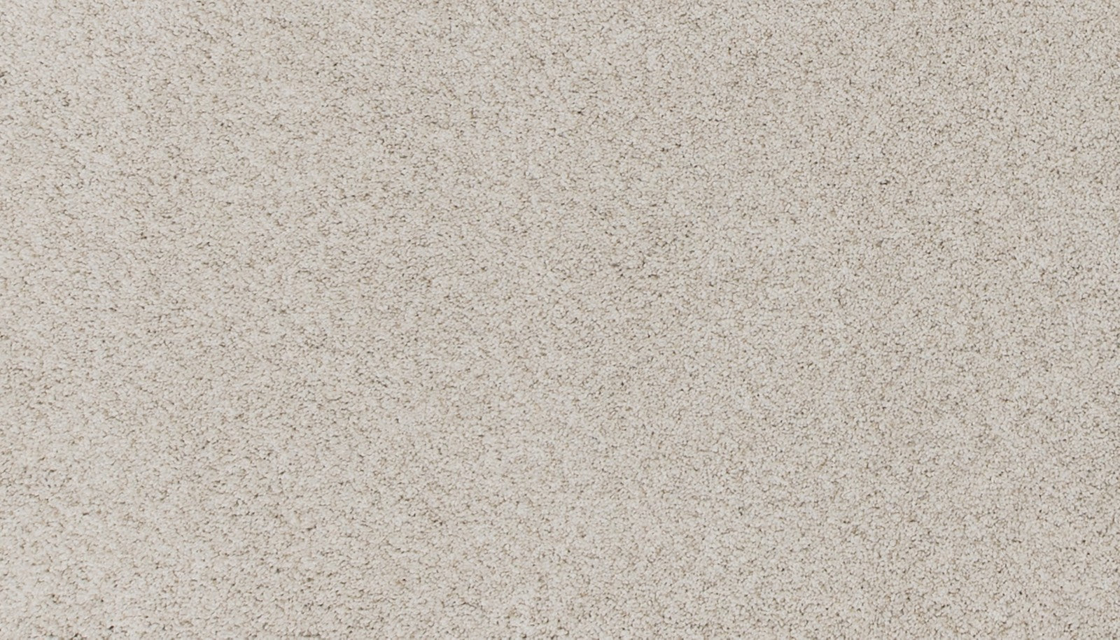 Mohawk Canine Comfort in Canvas Cloth, Carpet product detail