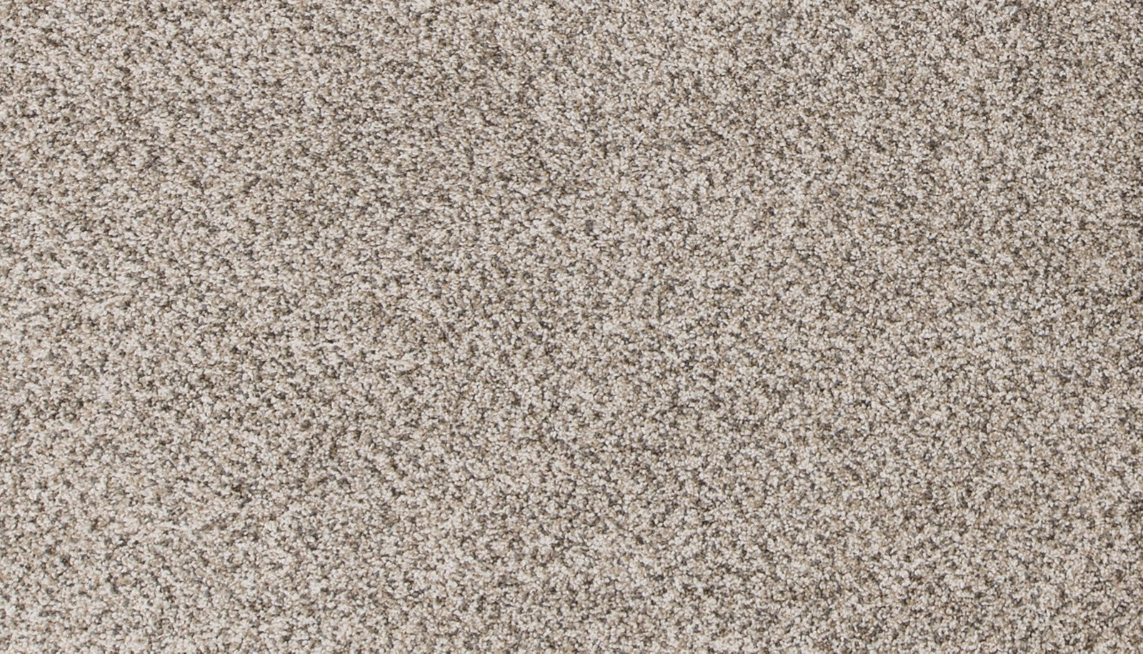 Mohawk Canine Comfort in Frosty Spice, Carpet product detail