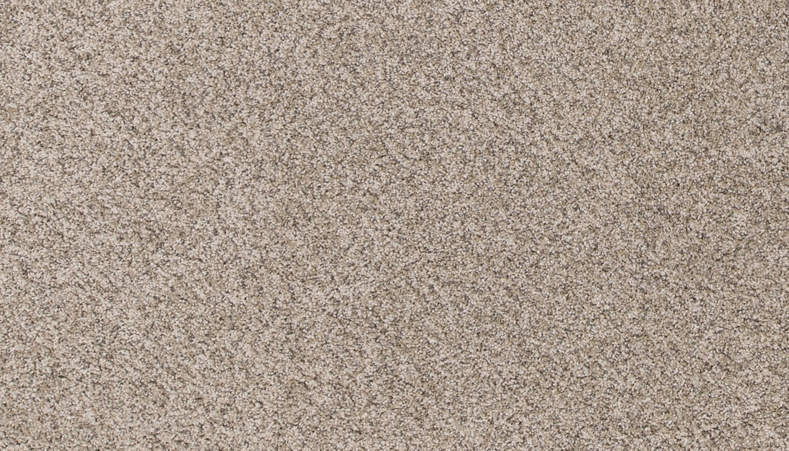 Mohawk Canine Comfort in Bisque, Carpet product detail