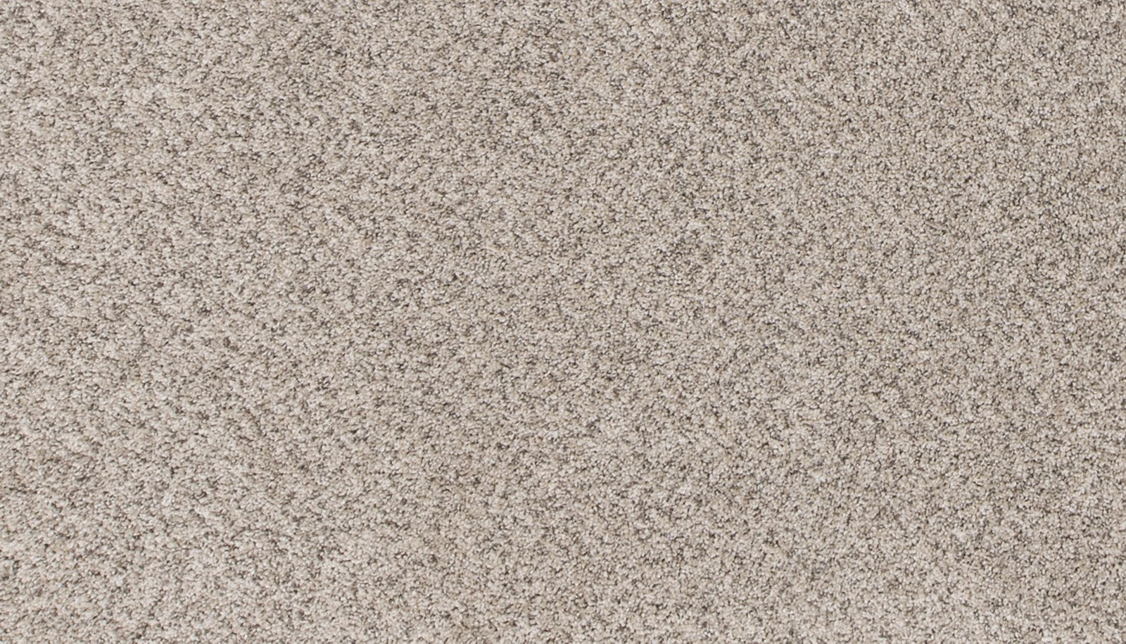 Mohawk Canine Comfort in Hazelnut, Carpet product detail