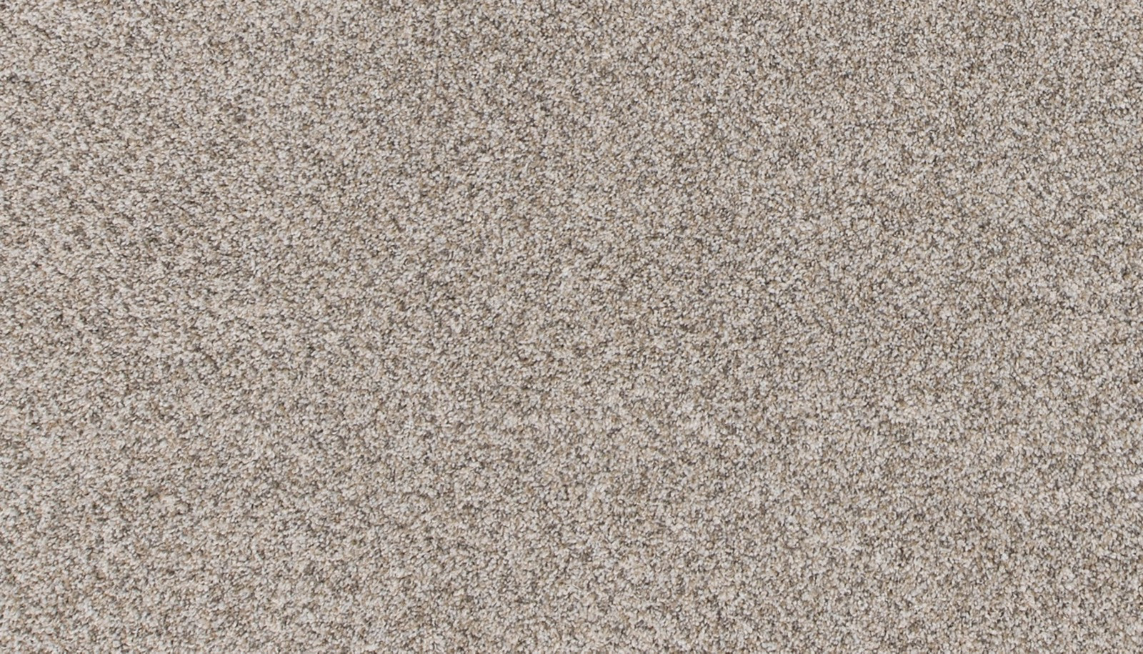 Mohawk Canine Comfort in Soapstone, Carpet product detail