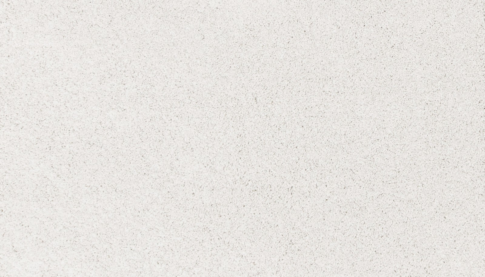 Mohawk Canine Comfort in Haze, Carpet product detail